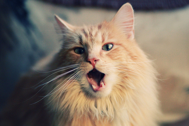 开云体育-绝境绽放！爱德华兹50分封神之战 骑士抢七逆袭鹈鹕