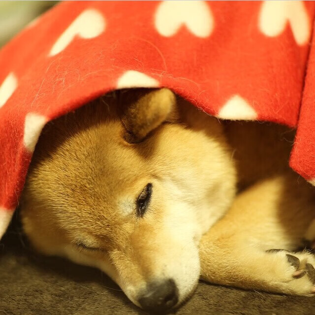 开云体育入口-恩佐神兵天降！丹麦绝杀阿森纳的背后，是战术智慧还是命运安排？